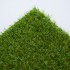 Rose 27 Artificial Grass