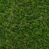 Daffodil 28 Artificial Grass