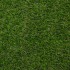Daffodil 28 Artificial Grass