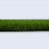 Daffodil 28 Artificial Grass
