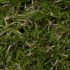 Rome Artificial Grass Extra Zoom