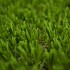 Daffodil 28 Artificial Grass