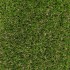 Victoria Elite Artificial Grass Far
