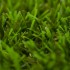 Sydney Artificial Grass - Zoom