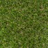 Melbourne Artificial Grass