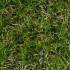 Melbourne Artificial Grass - Close