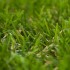 Melbourne Artificial Grass - Zoom