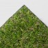Melbourne Artificial Grasss - Top