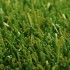Barbados 36 Artificial Grass - Pile Close Up