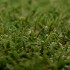 Bermuda 30 Artificial Grass