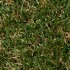 Vienna Artificial Grass Zoom