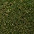 Vienna Artificial Grass