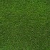 Campion Artificial Grass