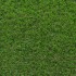 Campion Artificial Grass