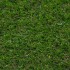 Campion Artificial Grass