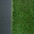 Campion Artificial Grass