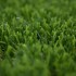 Campion Artificial Grass