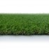 Campion Artificial Grass