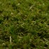 Highbury 30 Artificial Grass - zoom