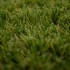 Maldives Artificial Grass zoom