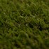 Piccadilly Green Artificial Grass - zoom